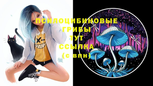 мет Горняк