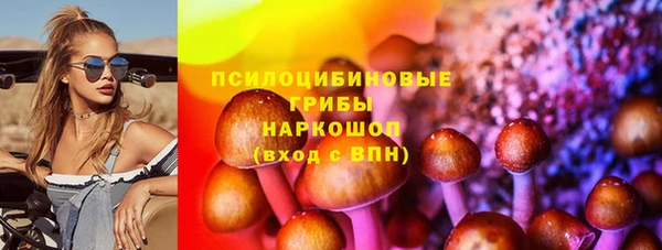 СК Гусев