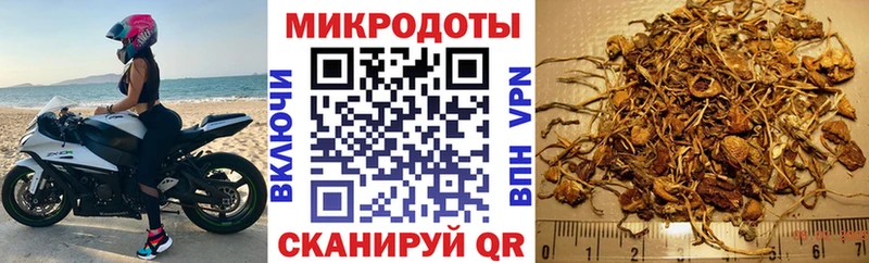 ссылка на мегу   Евпатория  Псилоцибиновые грибы Psilocybine cubensis  закладка 
